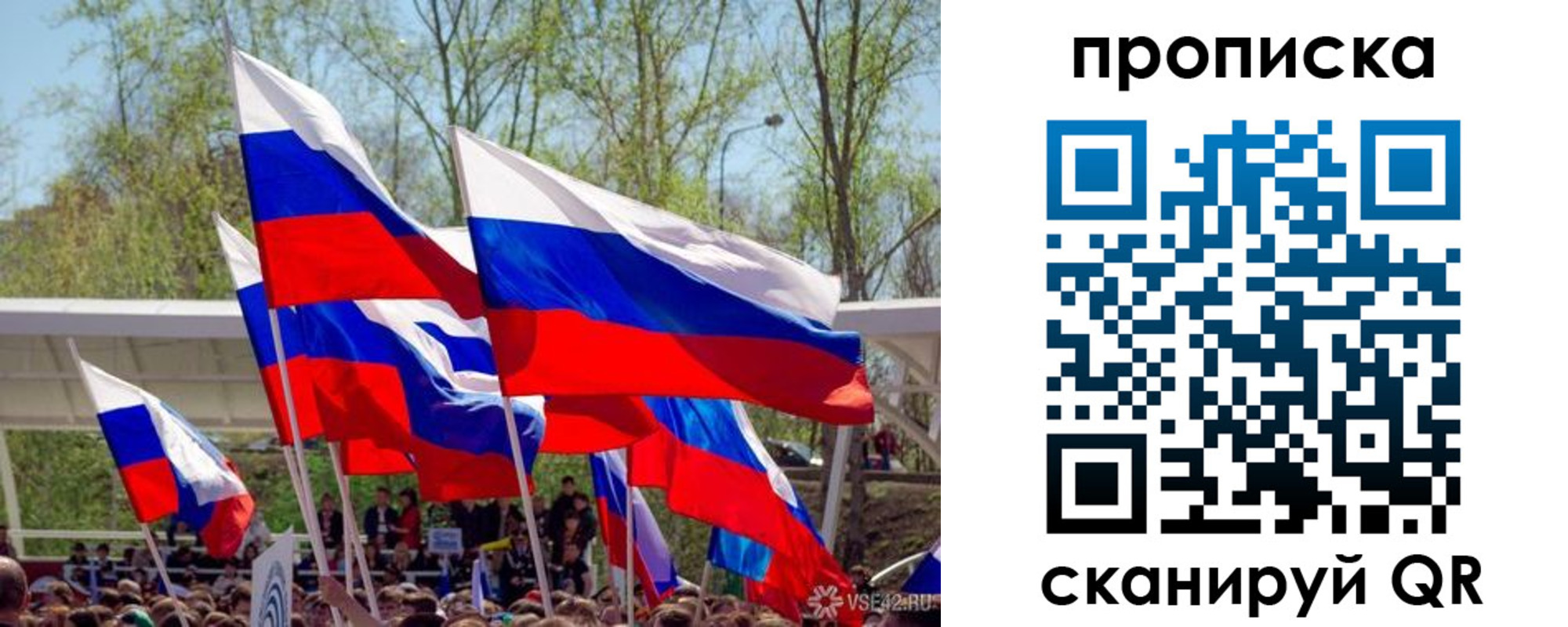 временная регистрация поиск в Сольцах